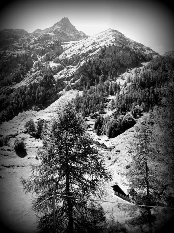 Il Piccolo Residence Gressoney-la-Trinité Exteriér fotografie